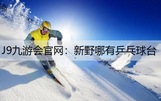 J9九游会官网：新野哪有乒乓球台