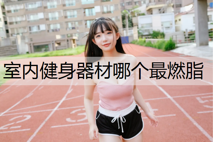 室内健身器材哪个最燃脂