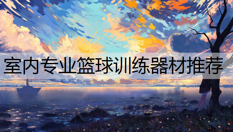 室内专业篮球训练器材推荐