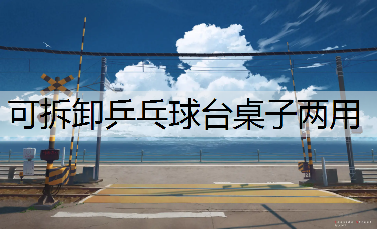 可拆卸乒乓球台桌子两用