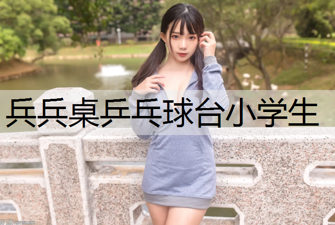 兵兵桌乒乓球台小学生
