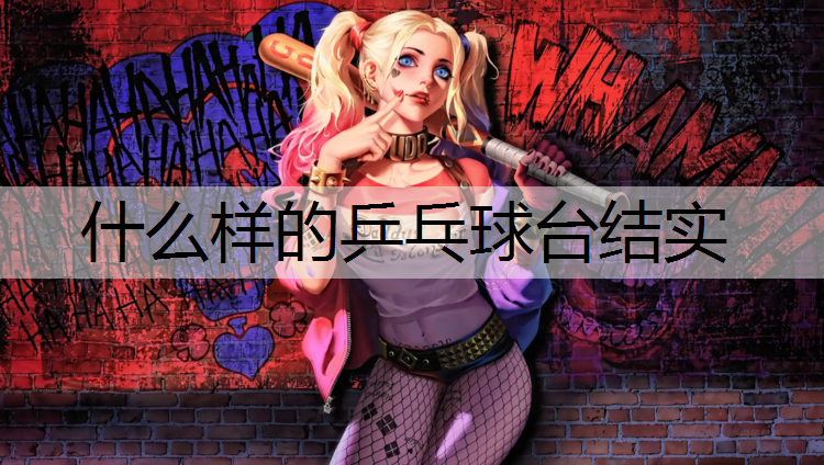 什么样的乒乓球台结实