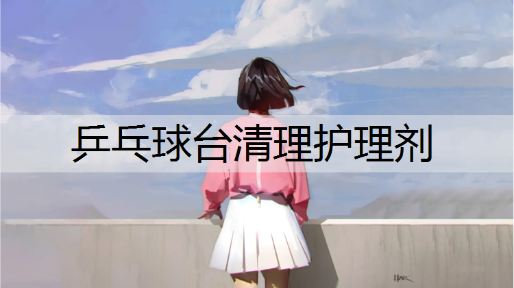 乒乓球台清理护理剂