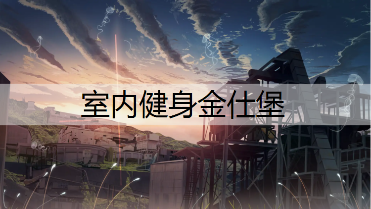 室内健身金仕堡