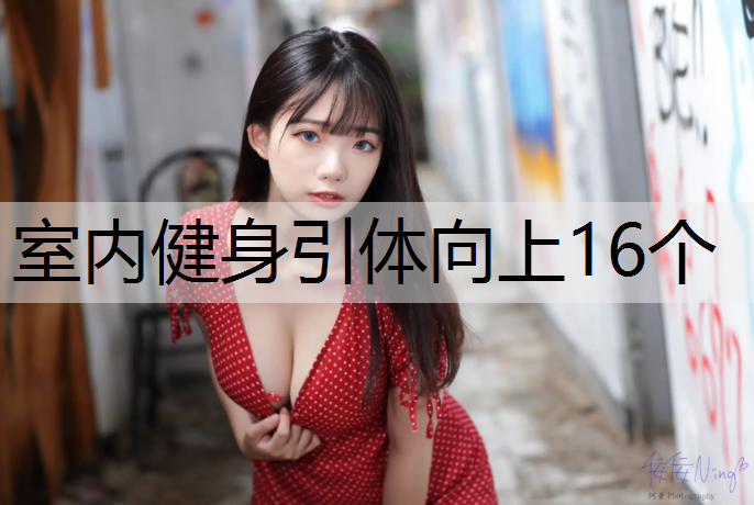 室内健身引体向上16个