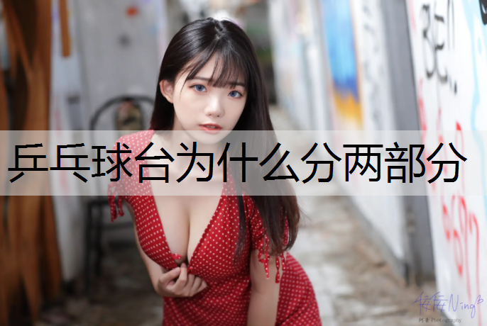 乒乓球台为什么分两部分