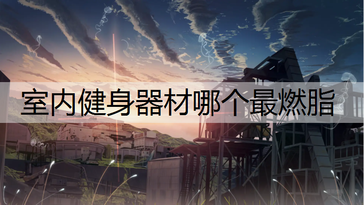 室内健身器材哪个最燃脂