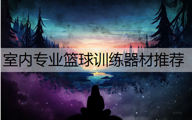 室内专业篮球训练器材推荐