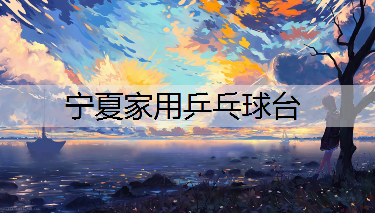 宁夏家用乒乓球台