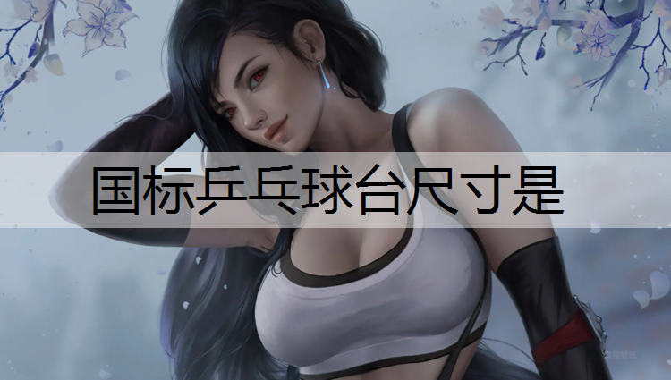 国标乒乓球台尺寸是