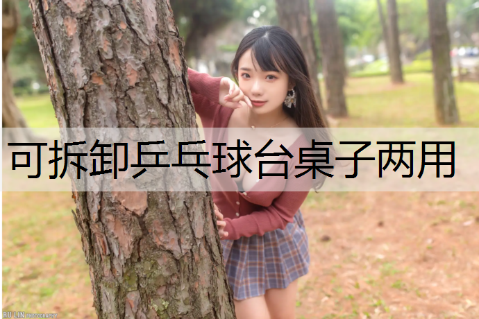 可拆卸乒乓球台桌子两用