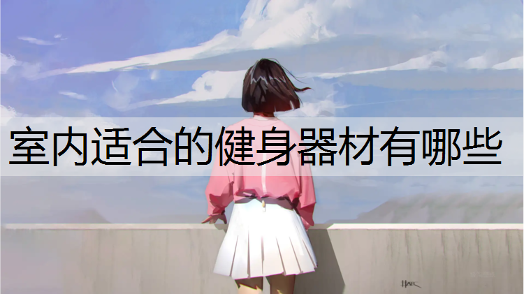 室内适合的健身器材有哪些