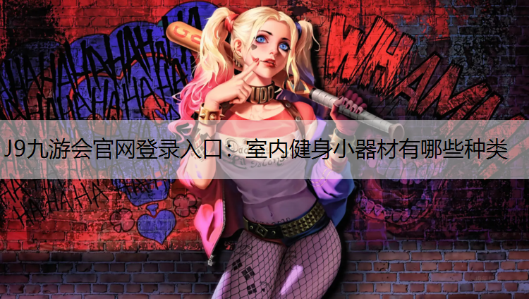 室内健身小器材有哪些种类