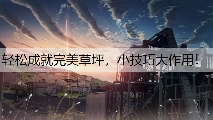 轻松成就完美草坪，小技巧大作用！